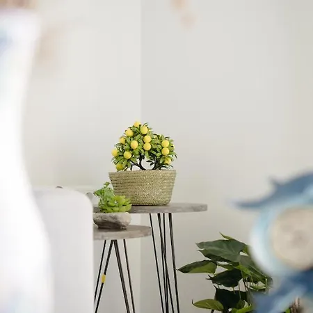 House Of Farros Apartment *